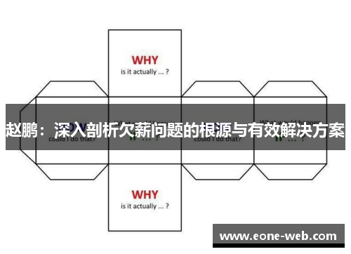 赵鹏：深入剖析欠薪问题的根源与有效解决方案