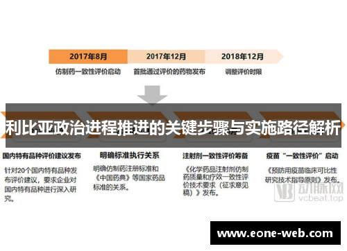 利比亚政治进程推进的关键步骤与实施路径解析