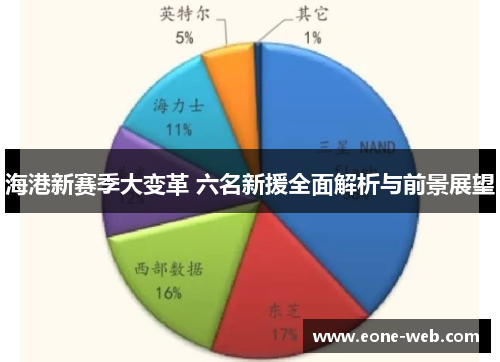 海港新赛季大变革 六名新援全面解析与前景展望